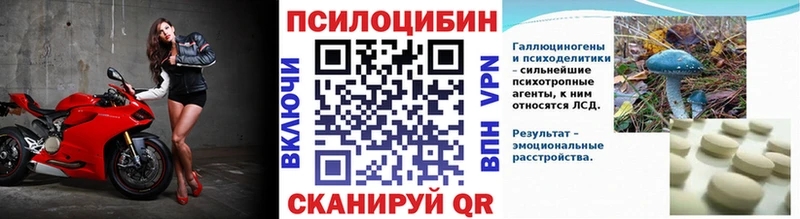 Галлюциногенные грибы мицелий  Котлас 