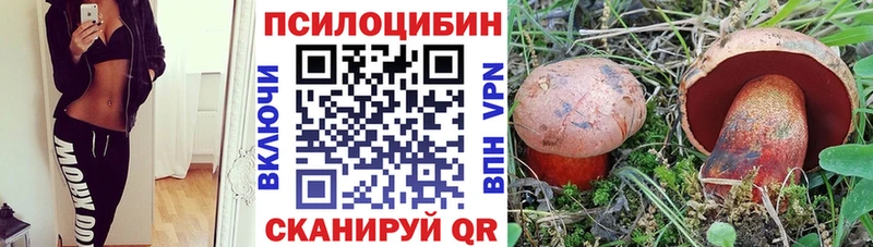 Галлюциногенные грибы Psilocybe Котлас